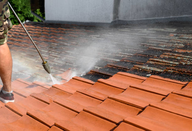Best Residential Pressure Washing Services  in Pheasant Run, OH