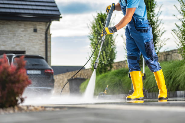 Best Pressure Washing Driveway  in Pheasant Run, OH