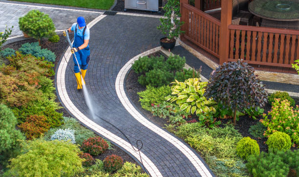 Best Power Washing Near Me  in Pheasant Run, OH