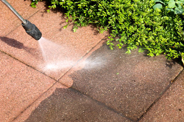 Best Local Pressure Washing Services  in Pheasant Run, OH